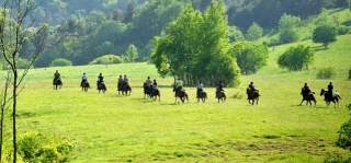 Huculhästar - ridning i Bieszczady-bergen