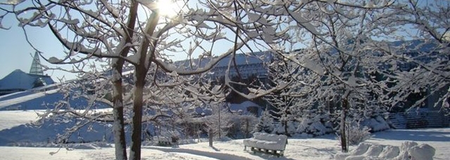 Picture: buw.uw.edu.pl