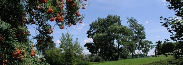 Picture: buw.uw.edu.pl