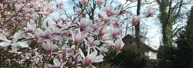 Picture: bolestraszyce.com