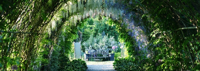 Picture: hortulus.com.pl