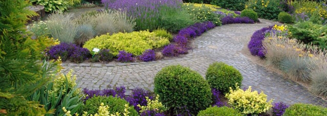 Picture: hortulus.com.pl