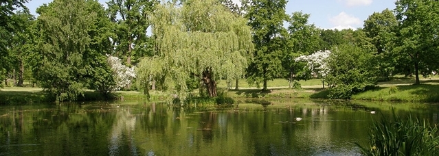 Picture: Wojciech Muła | <a href="http://creativecommons.org/licenses/by-sa/3.0/deed.en">CC BY-SA 3.0</a>