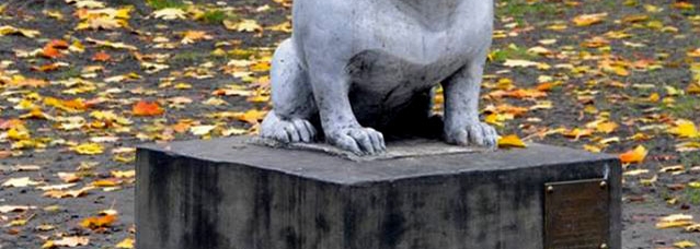 Picture: bialystok.pl