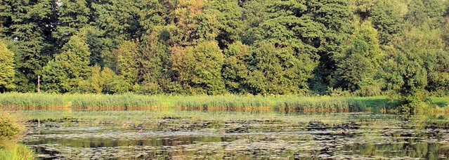 Picture: B.Bajko | bialowieza.gmina.pl