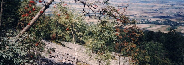 Picture: Slawojar | <a href="https://gnu.org/licenses/fdl.html">GFDL</a>