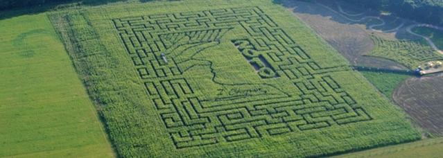 Picture: kurozweki.com