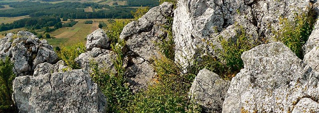 Picture: Marek Misztal | <a href="https://gnu.org/licenses/fdl.html">GFDL</a>
